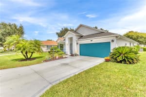 25008 CRANES ROOST CIRCLE, LEESBURG, FL 34748 - MLS#MFRO6343803