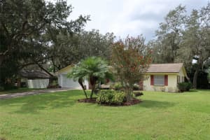 440 LAURA LANE, MOUNT DORA, FL 32757 - MLS#MFRO6343916
