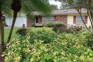 440 LAURA LANE, MOUNT DORA, FL 32757 - MLS#MFRO6343916