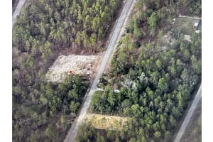 NARCISSUS, DUNNELLON, FL 34431 - MLS#MFRO6343975