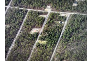 NARCISSUS, DUNNELLON, FL 34431 - MLS#MFRO6343975