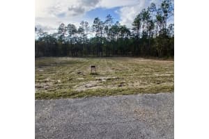 NARCISSUS, DUNNELLON, FL 34431 - MLS#MFRO6343975