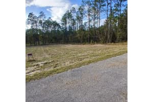 NARCISSUS, DUNNELLON, FL 34431 - MLS#MFRO6343975