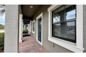 28615 TRANQUIL LAKE CIRCLE, WESLEY CHAPEL, FL 33543 - MLS#MFRO6343984