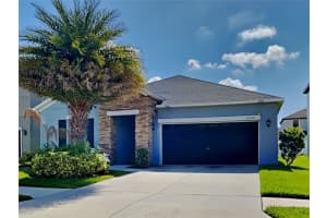 12310 Ballentrae Forest Dr, RIVERVIEW