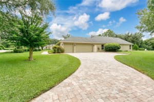 3101 SHADOW POND TERRACE, WINTER GARDEN, FL 34787 - MLS#MFRO6344108