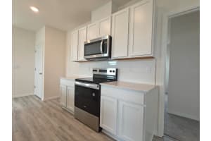 5266 5266 SCRUB MINT LANE, APOPKA, FL 32712 - MLS#MFRO6344255