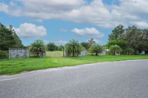 34534 TREE FROG LANE, EUSTIS, FL 32736 - MLS#MFRO6344351
