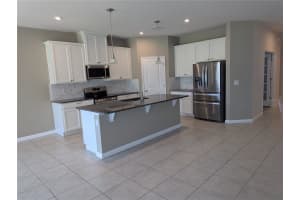 334 WINTER BLISS LANE, MOUNT DORA, FL 32757 - MLS#MFRO6344444