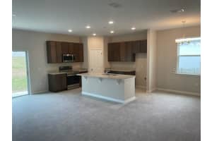 3345 CURLEW AVENUE, LEESBURG, FL 34748 - MLS#MFRO6344542