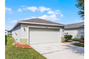 11045 GOLDEN SILENCE DRIVE, RIVERVIEW, FL 33579 - MLS#MFRO6344554