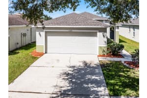 11045 GOLDEN SILENCE DRIVE, RIVERVIEW, FL 33579 - MLS#MFRO6344554