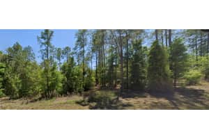 SE 5TH PL, WILLISTON, FL 32696 - MLS#MFRO6344797