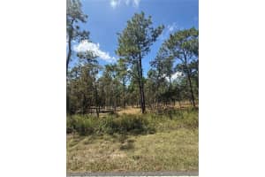 NW RIDGEWOOD RD, DUNNELLON, FL 34431 - MLS#MFRO6344860