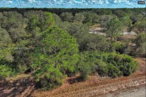 1514 POINSETTIA AVENUE, LEHIGH ACRES, FL 33972 - MLS#MFRO6344883