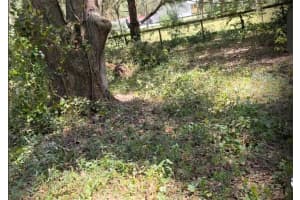 7171 166TH STREET, TRENTON, FL 32693 - MLS#MFRO6344990