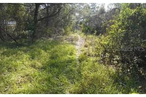 674 NEMO DRIVE, SEBRING, FL 33870 - MLS#MFRO6345234