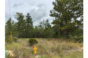 4468 MALALUKA CIRCLE, CITRUS SPRINGS, FL 34433 Sold 11/14/25