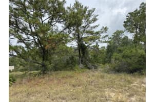 4468 MALALUKA CIRCLE, CITRUS SPRINGS, FL 34433 Sold 11/14/25