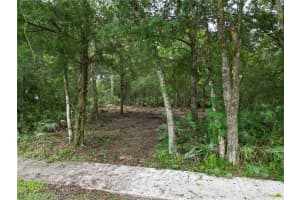 2039 N 6TH ST, ORLANDO, FL 32820 - MLS#MFRO6345395