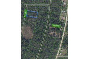 745 MARLIN STREET, LAKE PLACID, FL 33852 - MLS#MFRO6345697