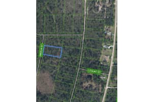 745 MARLIN STREET, LAKE PLACID, FL 33852 - MLS#MFRO6345697