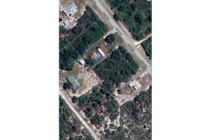 419 DURHAM AVENUE, LAKE PLACID, FL 33852 - MLS#MFRO6345702