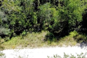 0 138TH TERRACE, WILLISTON, FL 32696 - MLS#MFRO6345720