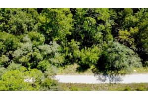 0 138TH TERRACE, WILLISTON, FL 32696 - MLS#MFRO6345720