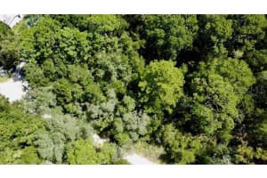 0 138TH TERRACE, WILLISTON, FL 32696 - MLS#MFRO6345720