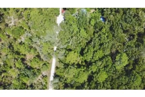 0 138TH TERRACE, WILLISTON, FL 32696 - MLS#MFRO6345720