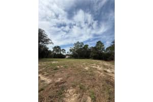 813 HAGUER PLACE, DUNNELLON, FL 34434 - MLS#MFRO6345722