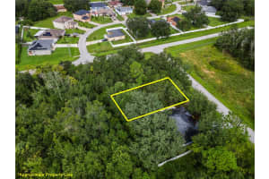 STARLING CT., POINCIANA, FL 34759 - MLS#MFRO6345730