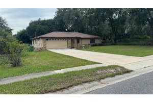 1017 BEECHER STREET, LEESBURG, FL 34748 - MLS#MFRO6345747