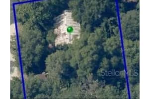 2144 LISA DARE DRIVE, LEESBURG, FL 34748 - MLS#MFRO6345770