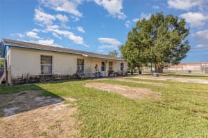 230 GROVE STREET, UMATILLA, FL 32784 - MLS#MFRO6345858