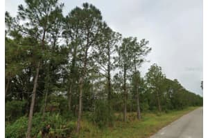 7827 & 7839 MARIN + 7824 & 7836 LEONARDO STREET, SEBRING, FL 33872 - MLS#MFRO6346018