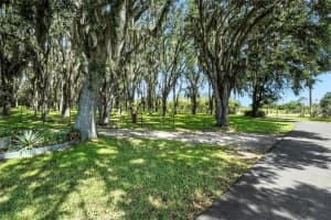 8218 PINE ISLAND ROAD, CLERMONT, FL 34711 - MLS#MFRO6346041