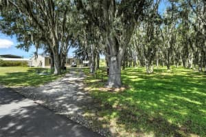 8218 PINE ISLAND ROAD, CLERMONT, FL 34711 - MLS#MFRO6346041