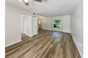 807 OLD DARBY STREET, SEFFNER, FL 33584 - MLS#MFRO6346134