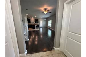 28601 TRANQUIL LAKE CIRCLE, WESLEY CHAPEL, FL 33543 - MLS#MFRO6346209
