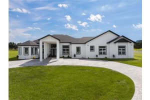 18800 GROVES DRIVE, GROVELAND, FL 34736 - MLS#MFRO6346239