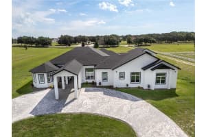 18800 GROVES DRIVE, GROVELAND, FL 34736 - MLS#MFRO6346239