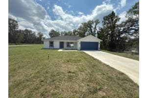 33 FISHER LANE WAY, OCKLAWAHA, FL 32179 - MLS#MFRO6346339