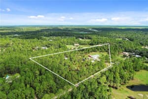 1296 SUTTON TRAIL, GENEVA, FL 32732 - MLS#MFRO6346409