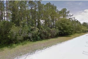 1413 HAZELNUT STREET, BUNNELL, FL 32110 - MLS#MFRO6346465