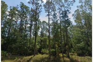 6028 DIAN AVENUE, SEBRING, FL 33875 - MLS#MFRO6346516