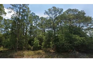 6034 DIAN AVENUE, SEBRING, FL 33875 - MLS#MFRO6346522