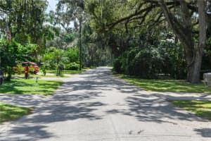 2346 ALICE AVENUE, EUSTIS, FL 32726 - MLS#MFRO6346562
