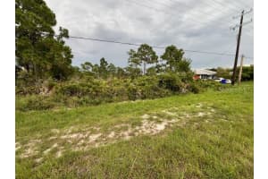 617 WASHINGTON BOULEVARD, LAKE PLACID, FL 33852 - MLS#MFRO6346605